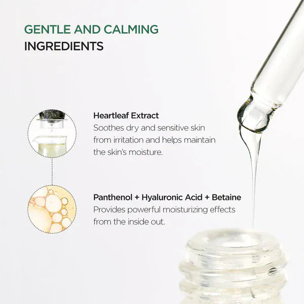 Anua Anua Heartleaf 80% Ampoule 30ml