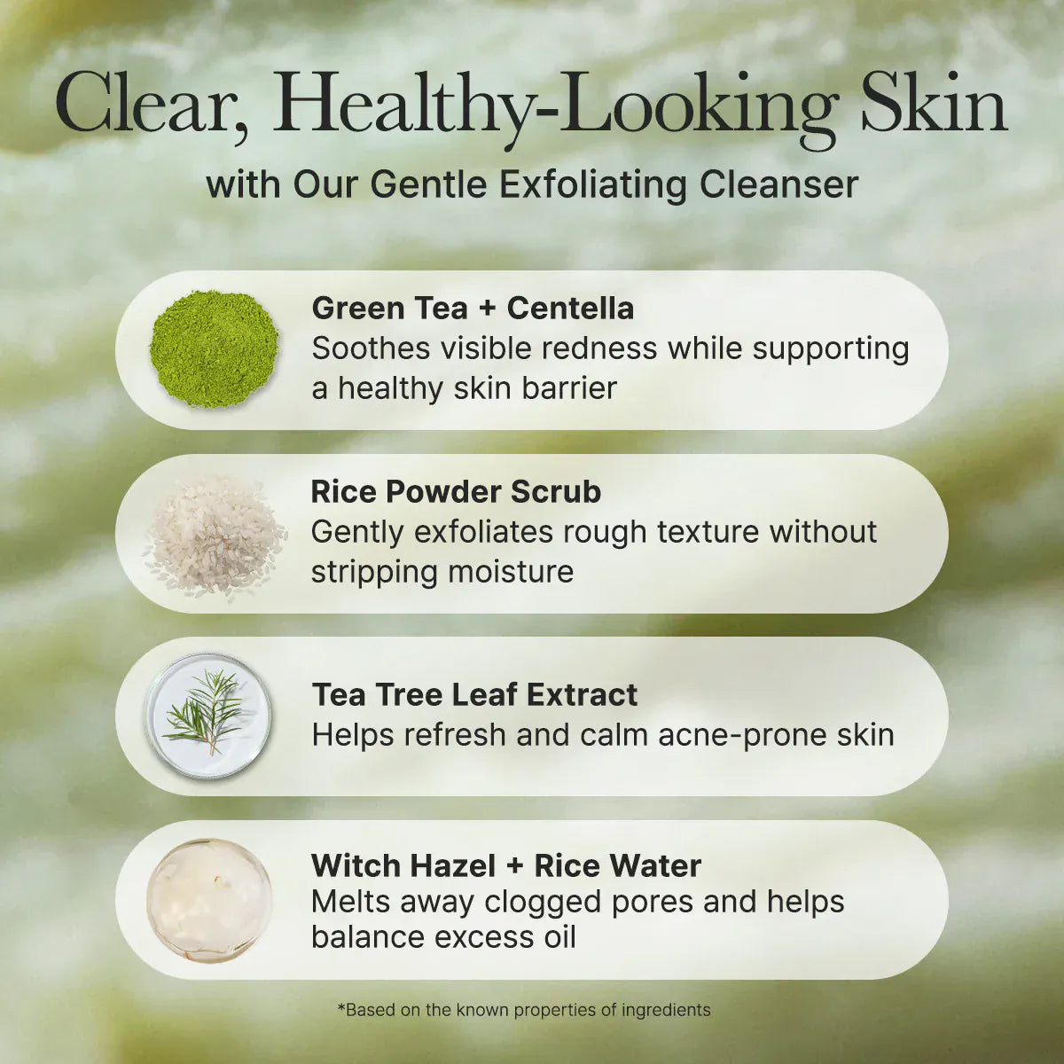 Arencia [Arencia] Fresh Green Rice Mochi Cleanser 120g