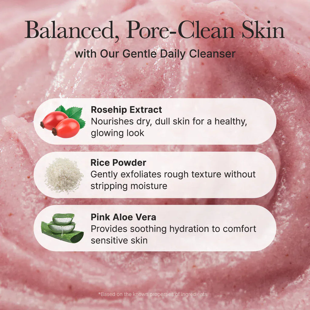 Arencia [Arencia] Fresh Rosehip Rice Mochi Cleanser 120g