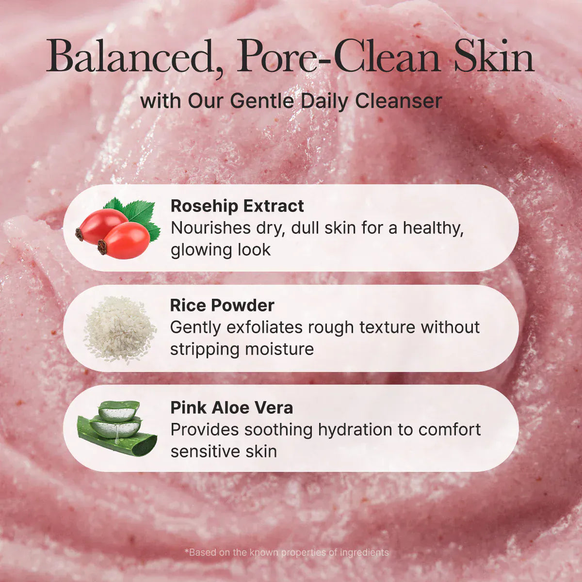 Arencia [Arencia] Fresh Rosehip Rice Mochi Cleanser 120g
